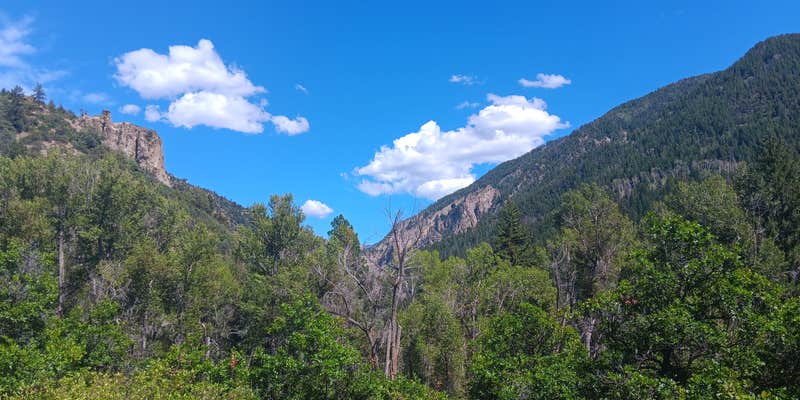 Camper submitted image from Dark Canyon Trailhead (Dispersed)