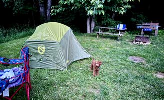 Raul G.'s photo of tent camping at Dark Ridge HideOut (Adults Only) near Newland, NC
