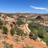 Review photo of Dark Sky RV Park & Campground by Amber W., June 14, 2025