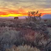 Review photo of Dark Sky RV Park & Campground by Britt M., November 30, 2025