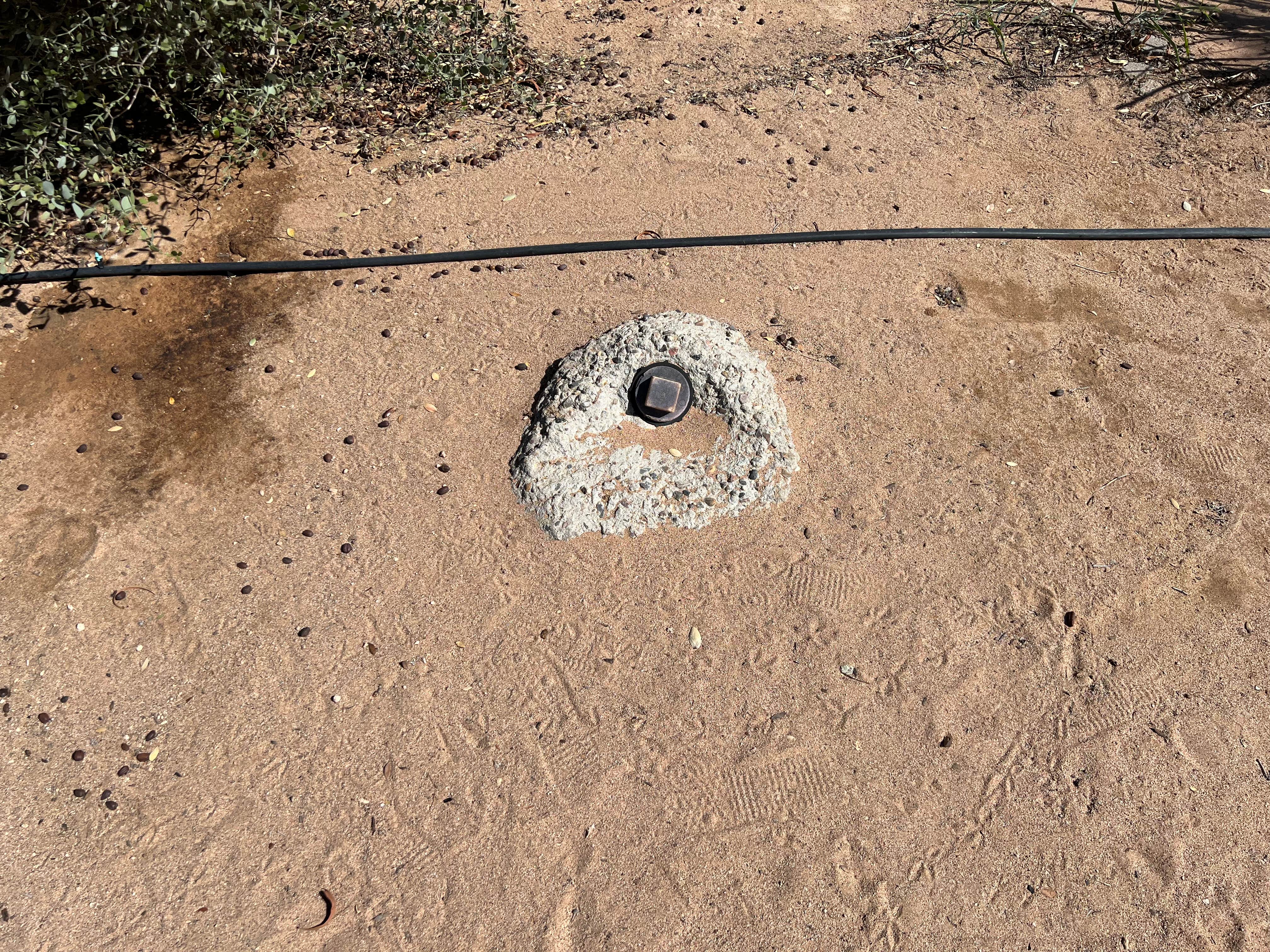 Camper-submitted photo at Dateland RV Park near Dateland, AZ