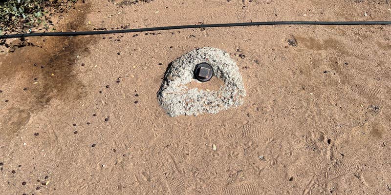 Camper submitted image from Dateland RV Park