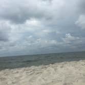 Review photo of Dauphin Island Campground by Lexi W., February 9, 2024