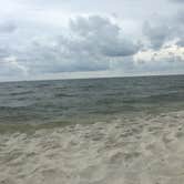 Review photo of Dauphin Island Campground by Lexi W., February 9, 2024