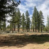 Review photo of Dave's Hollow Designated Camping by Adam H., May 13, 2026