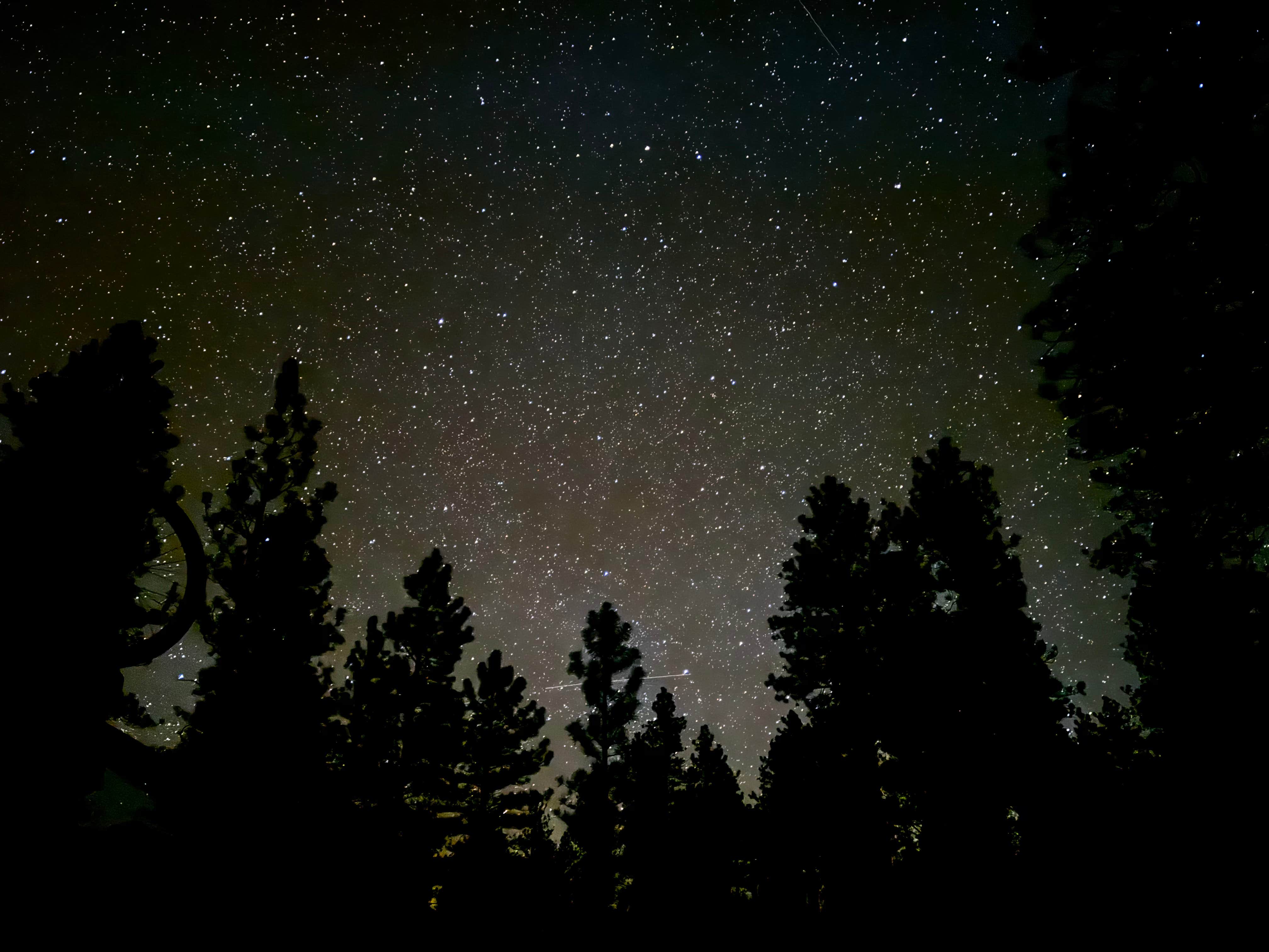 Dave's Hollow Designated Camping