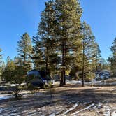 Review photo of Dave’s Hollow Designated Dispersed Camping by Mary B., December 29, 2025