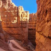 Review photo of Dave’s Hollow Designated Dispersed Camping by Lynn , November 16, 2025