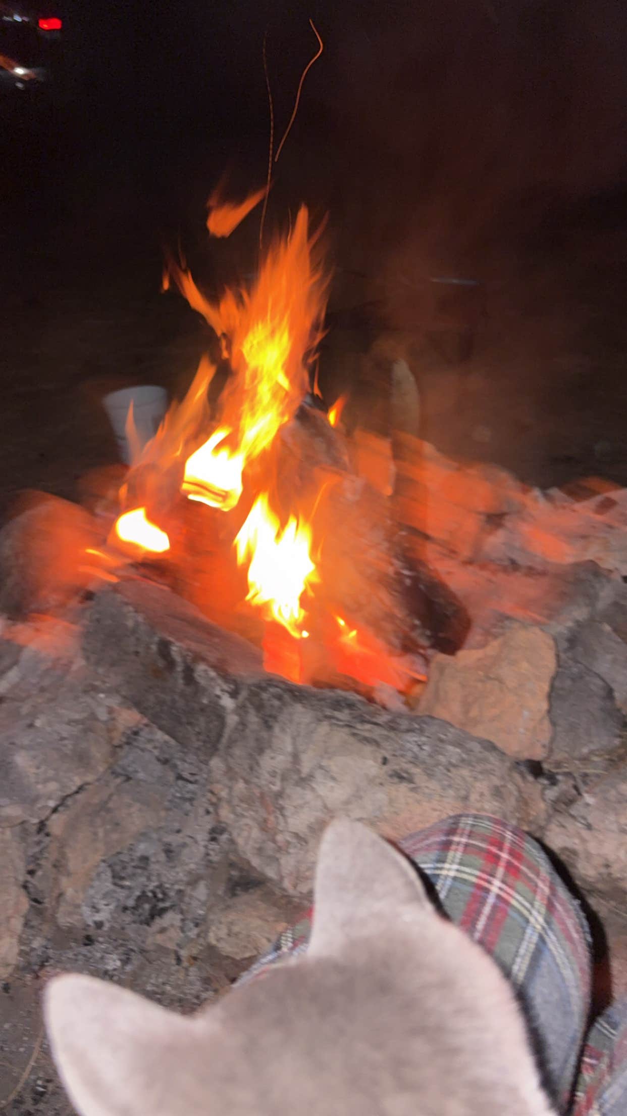 Elise S.'s photo of camping with pets at Dave’s Hollow Designated Dispersed Camping near Bryce Canyon National Park