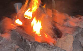 Elise S.'s photo of camping with pets at Dave’s Hollow Designated Dispersed Camping near Bryce Canyon National Park