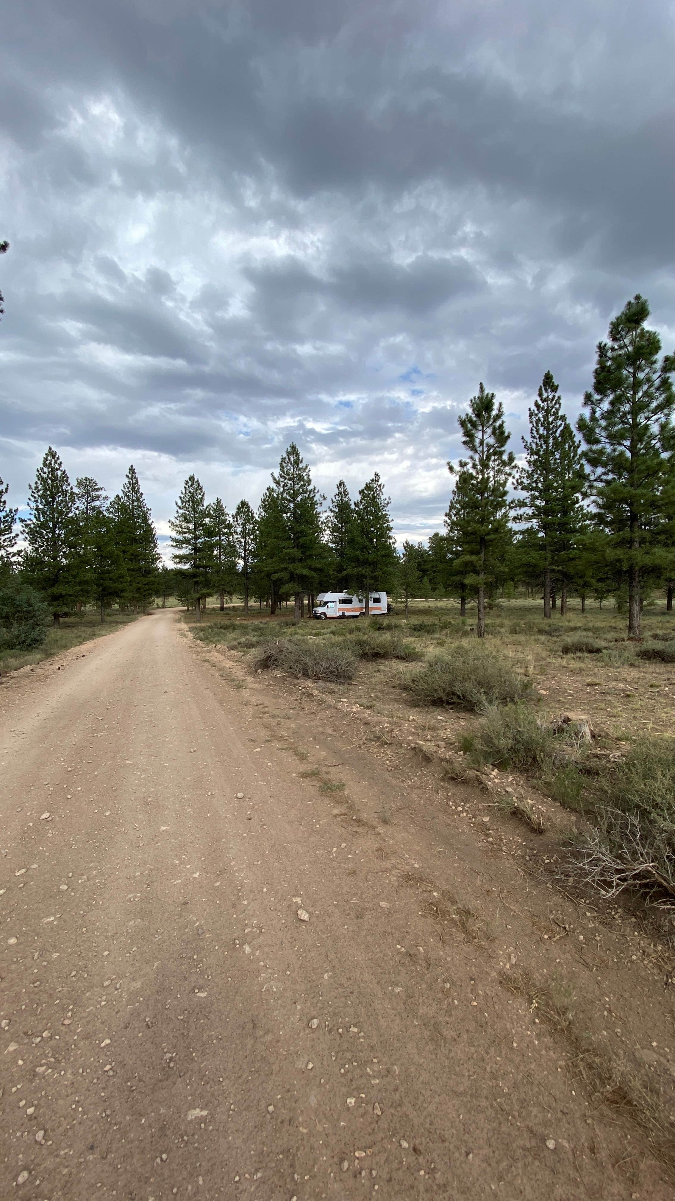 Camper submitted image from Dave’s Hollow Designated Dispersed Camping - 4