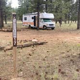 Review photo of Dave’s Hollow Designated Dispersed Camping by Brett T., July 19, 2024