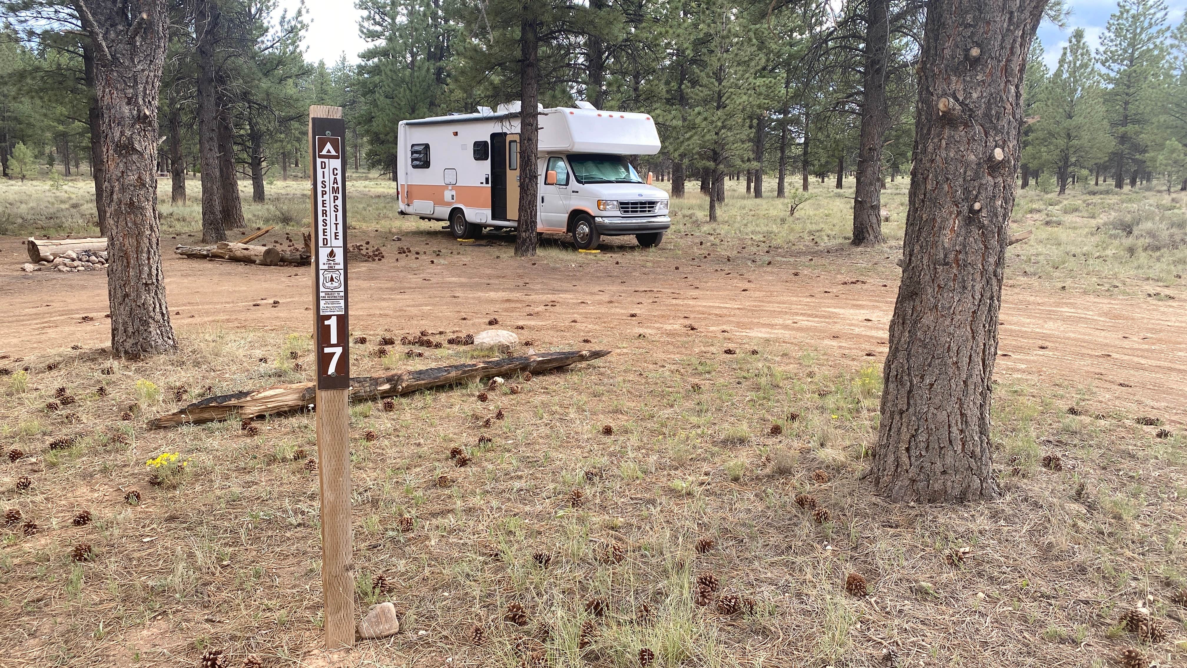 Camper submitted image from Dave’s Hollow Designated Dispersed Camping - 1