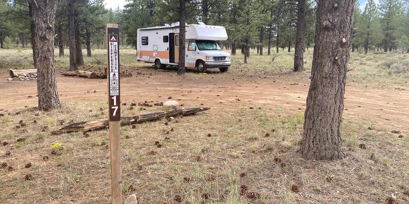 Camper submitted image from Dave’s Hollow Designated Dispersed Camping