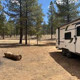 Review photo of Dave’s Hollow Designated Dispersed Camping by Jazmyn R., April 28, 2025