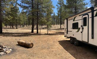 Jazmyn R.'s photo at Dave’s Hollow Designated Dispersed Camping near Cannonville, UT