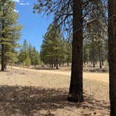 Review photo of Dave’s Hollow Designated Dispersed Camping by Jazmyn R., April 28, 2025
