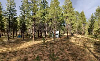 Merel J.'s photo of a dispersed camping area at Dave’s Hollow Designated Dispersed Camping near Bryce Canyon National Park