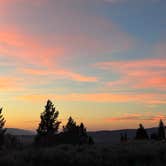 Review photo of Dave’s Site By Grand Teton by Sofia P., August 2, 2026