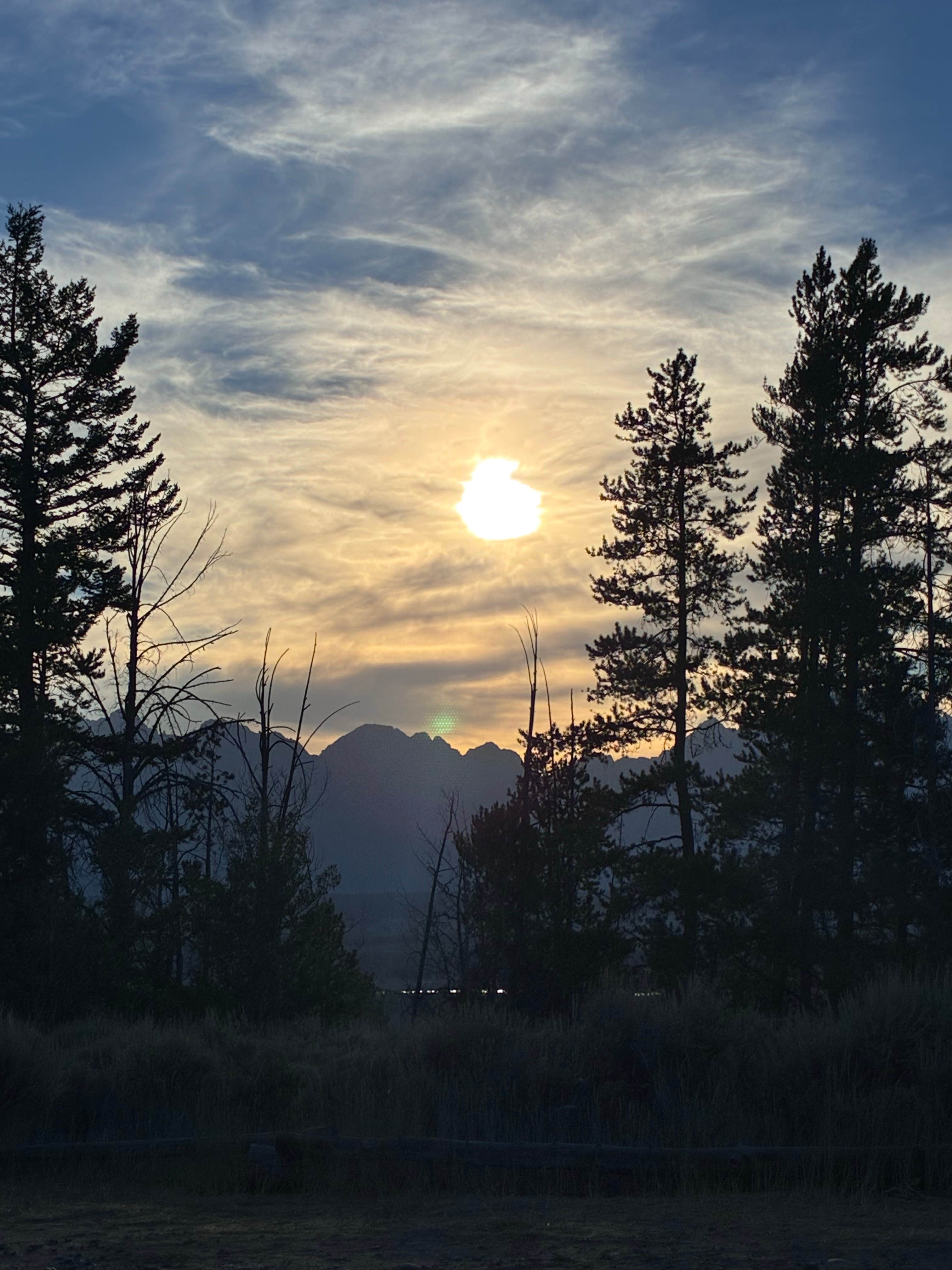 Sofia P.'s photo of a dispersed camping area at Dave’s Site By Grand Teton near Grand Teton National Park