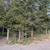 Review photo of Toppings Lake in Bridger-Teton National Forest by Joleigh S., August 20, 2025
