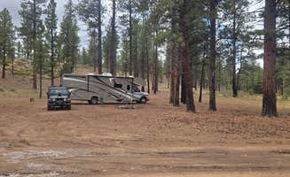 Billy's photo at daves hollow near Bryce Canyon National Park