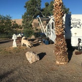 Review photo of Davis Camp Park - Mohave County by Larry  L., November 3, 2023
