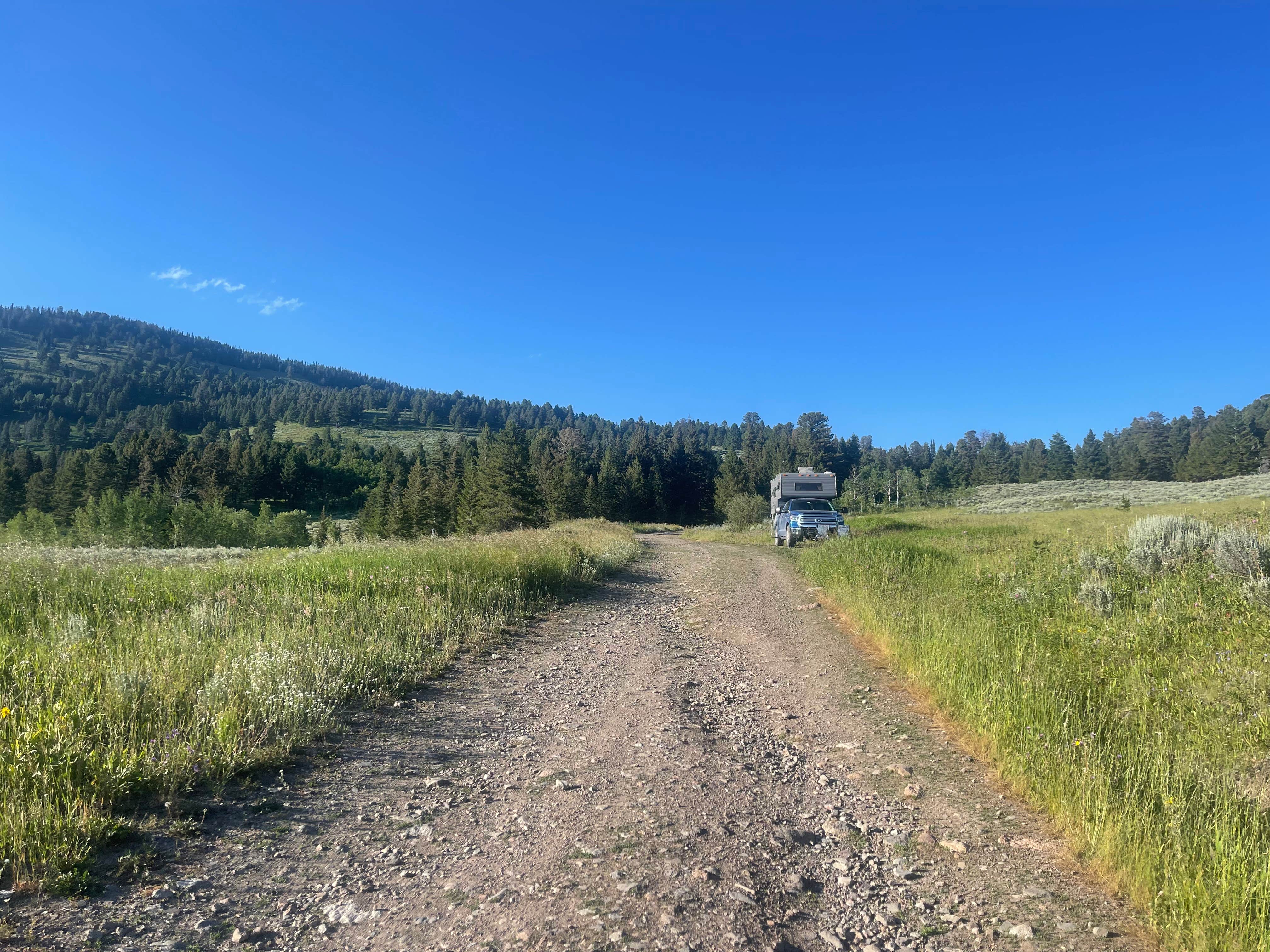 Camper-submitted photo at Davis Creek Camp on Road 3243 near Gardiner, MT