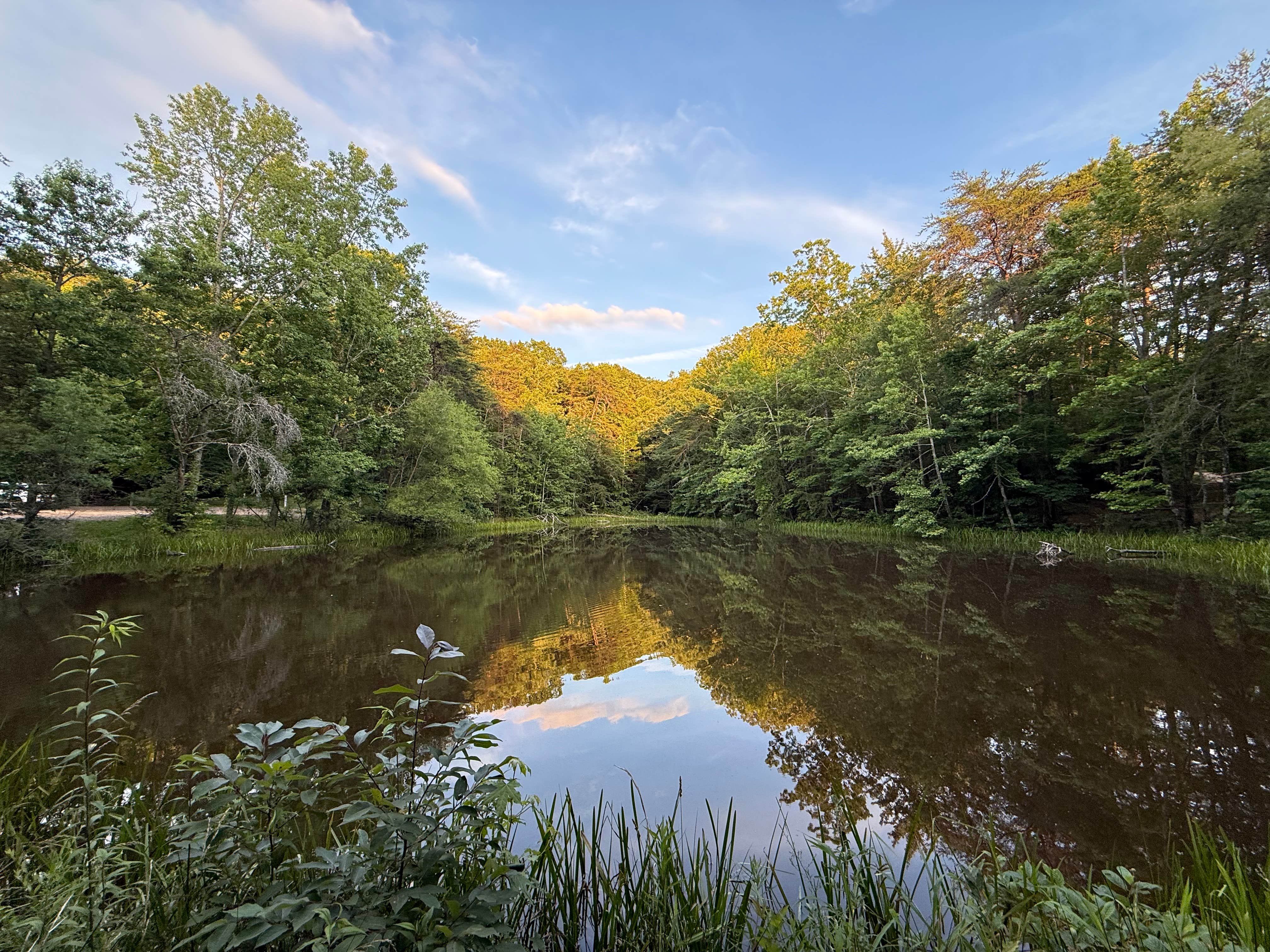 Camper-submitted photo at Davis Pond Campsite near Villanow, GA