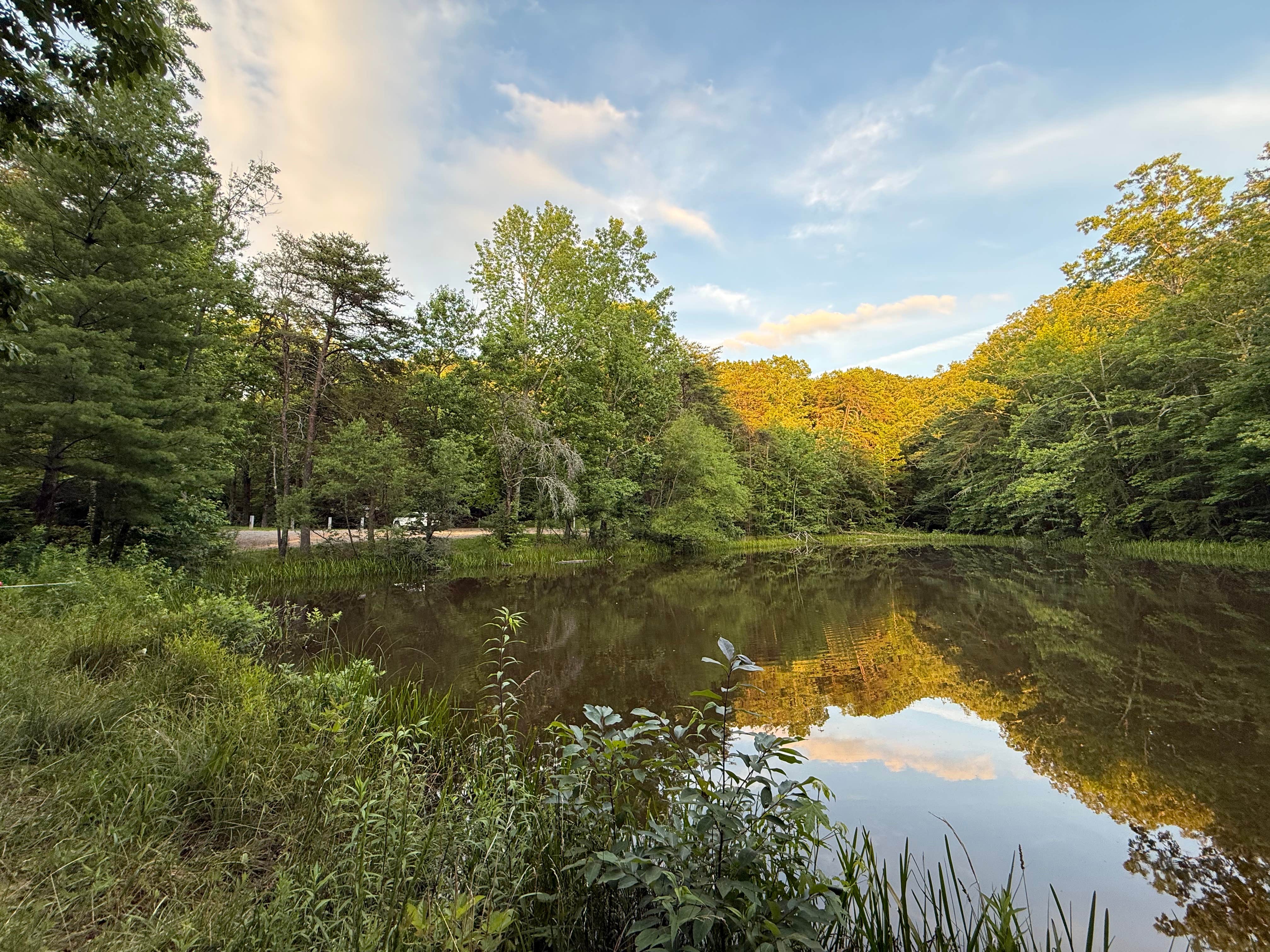 Camper-submitted photo at Davis Pond Campsite near Villanow, GA