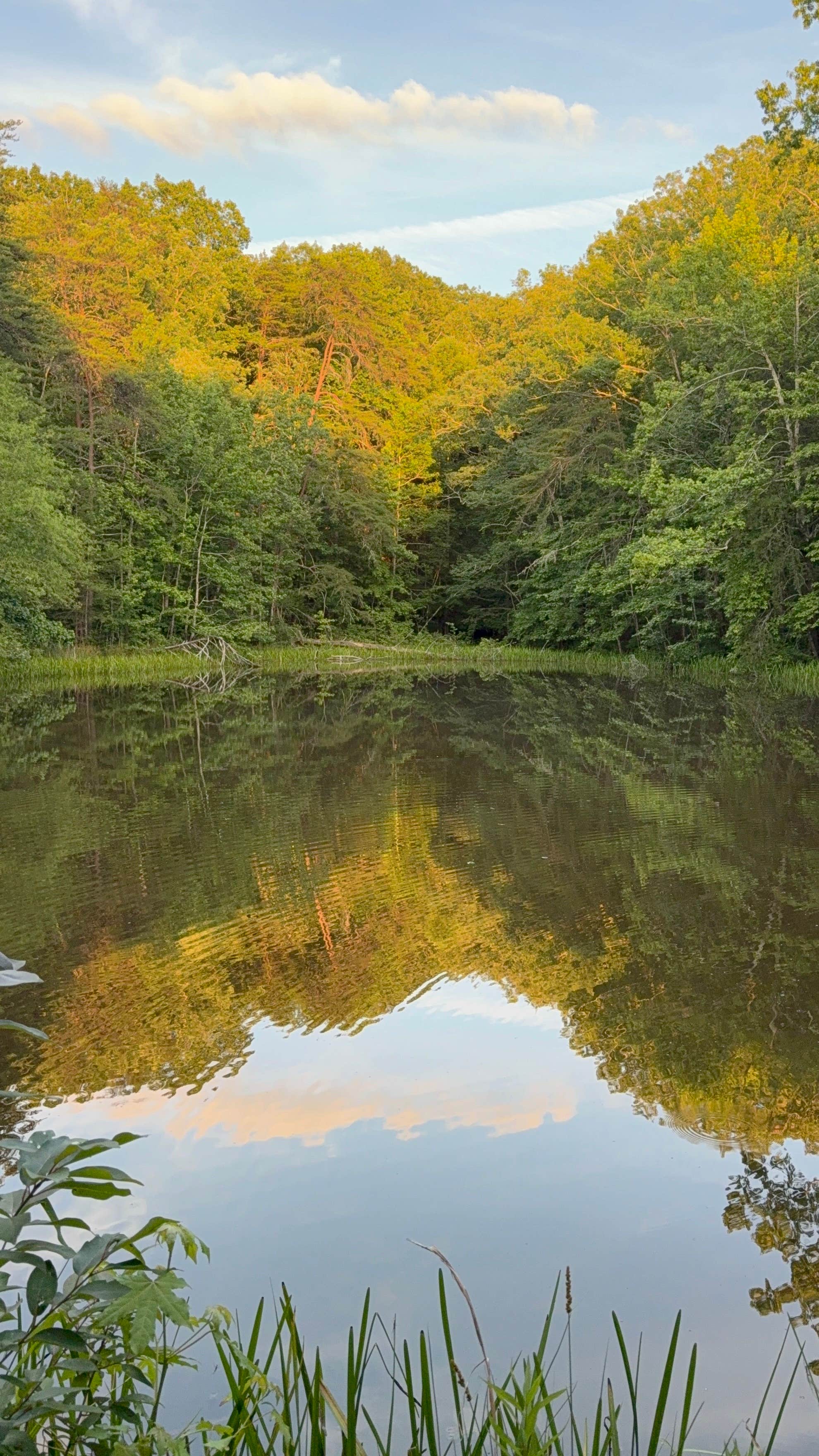Camper-submitted photo at Davis Pond Campsite near Villanow, GA