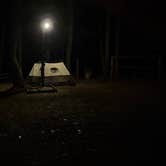 Review photo of Davy Crockett Campground by Moishe F., July 17, 2026