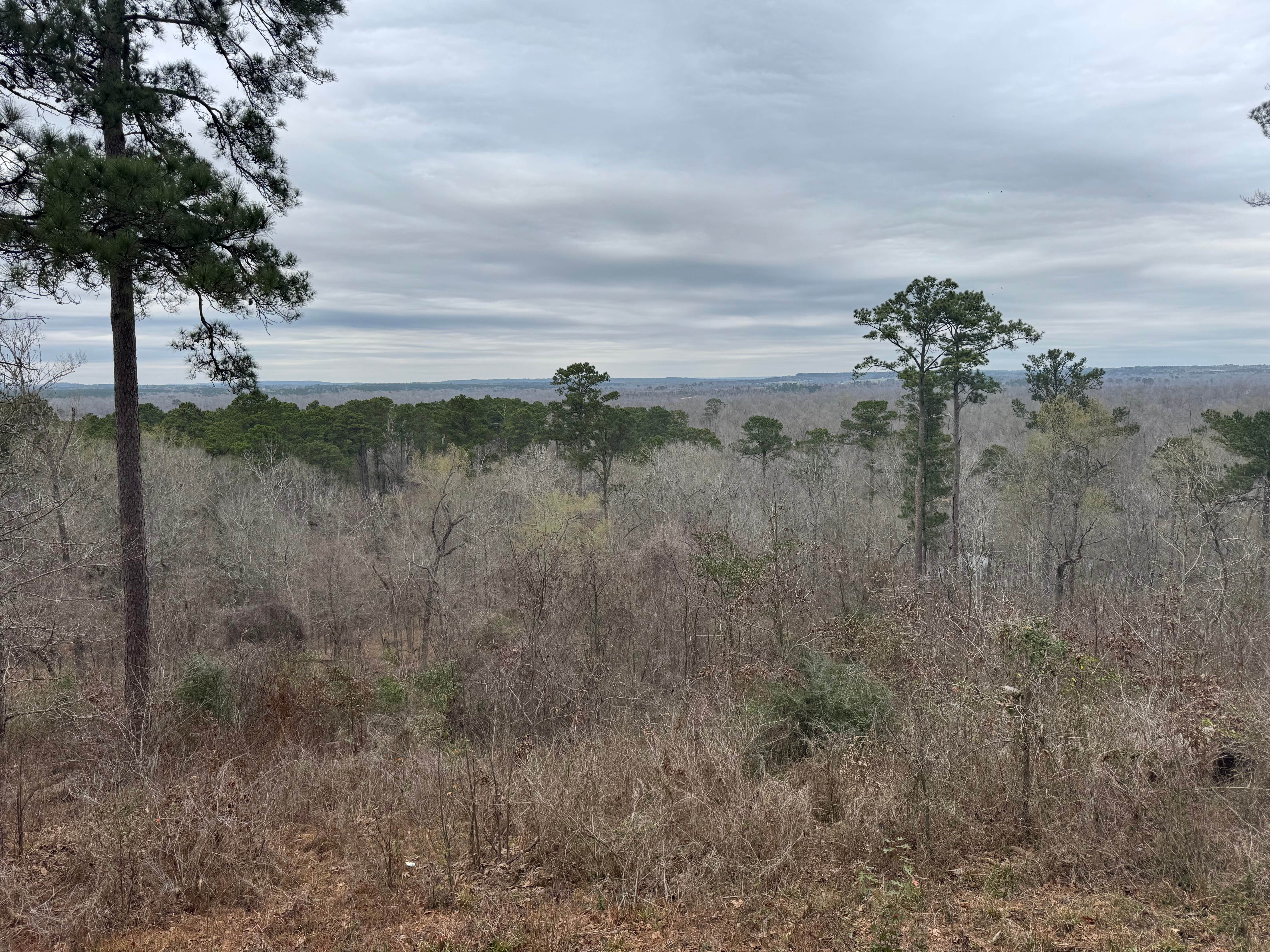 Camper-submitted photo at Davy Crockett National Forest Hunter’s Camp near Rusk, TX