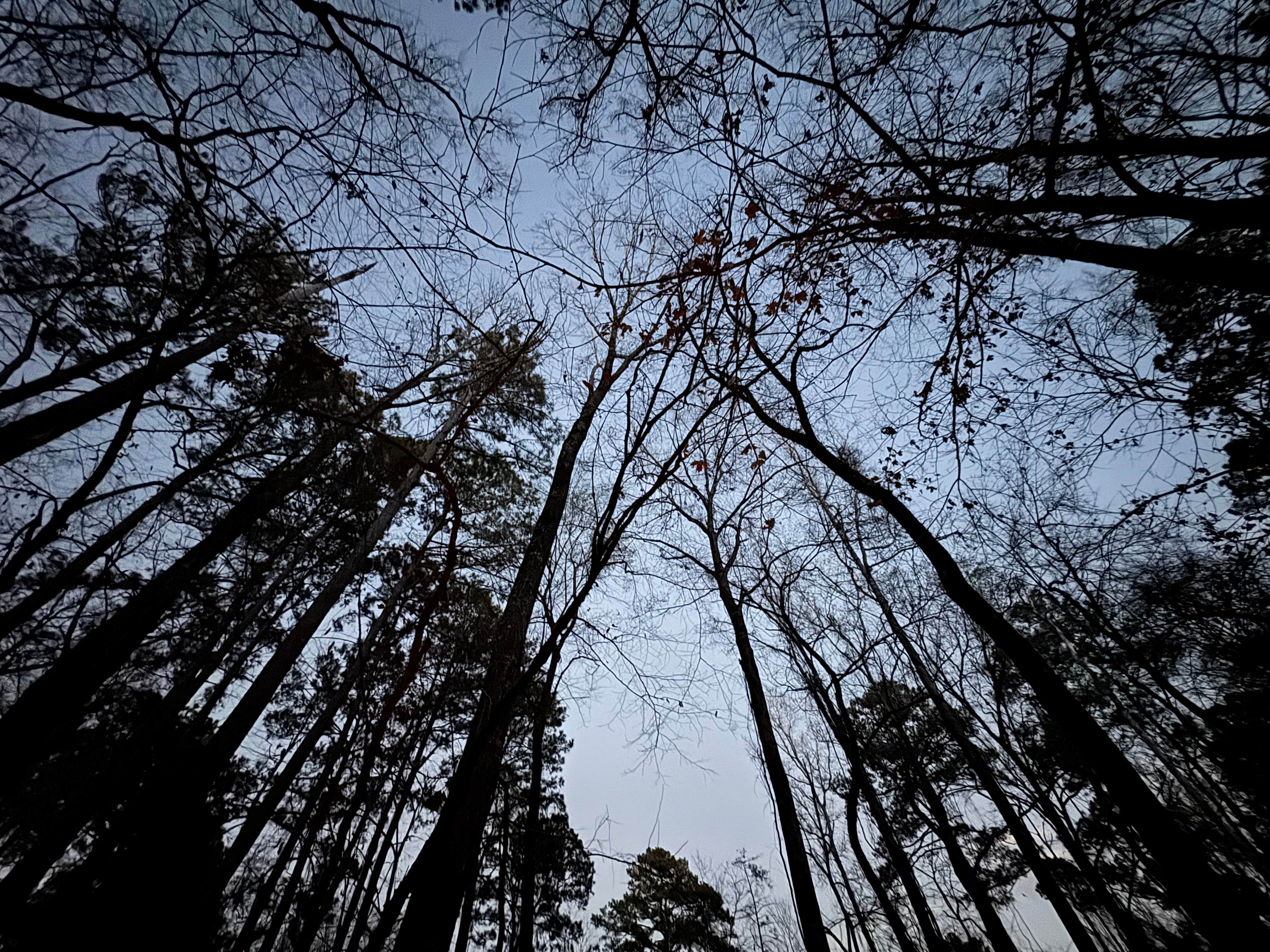 Camper-submitted photo at Davy Crockett National Forest Hunter’s Camp near Rusk, TX