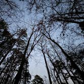 Review photo of Davy Crockett National Forest Hunter’s Camp by Adam G., February 26, 2026