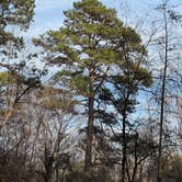 Review photo of Davy Crockett National Forest Hunter’s Camp by Adam G., February 26, 2026