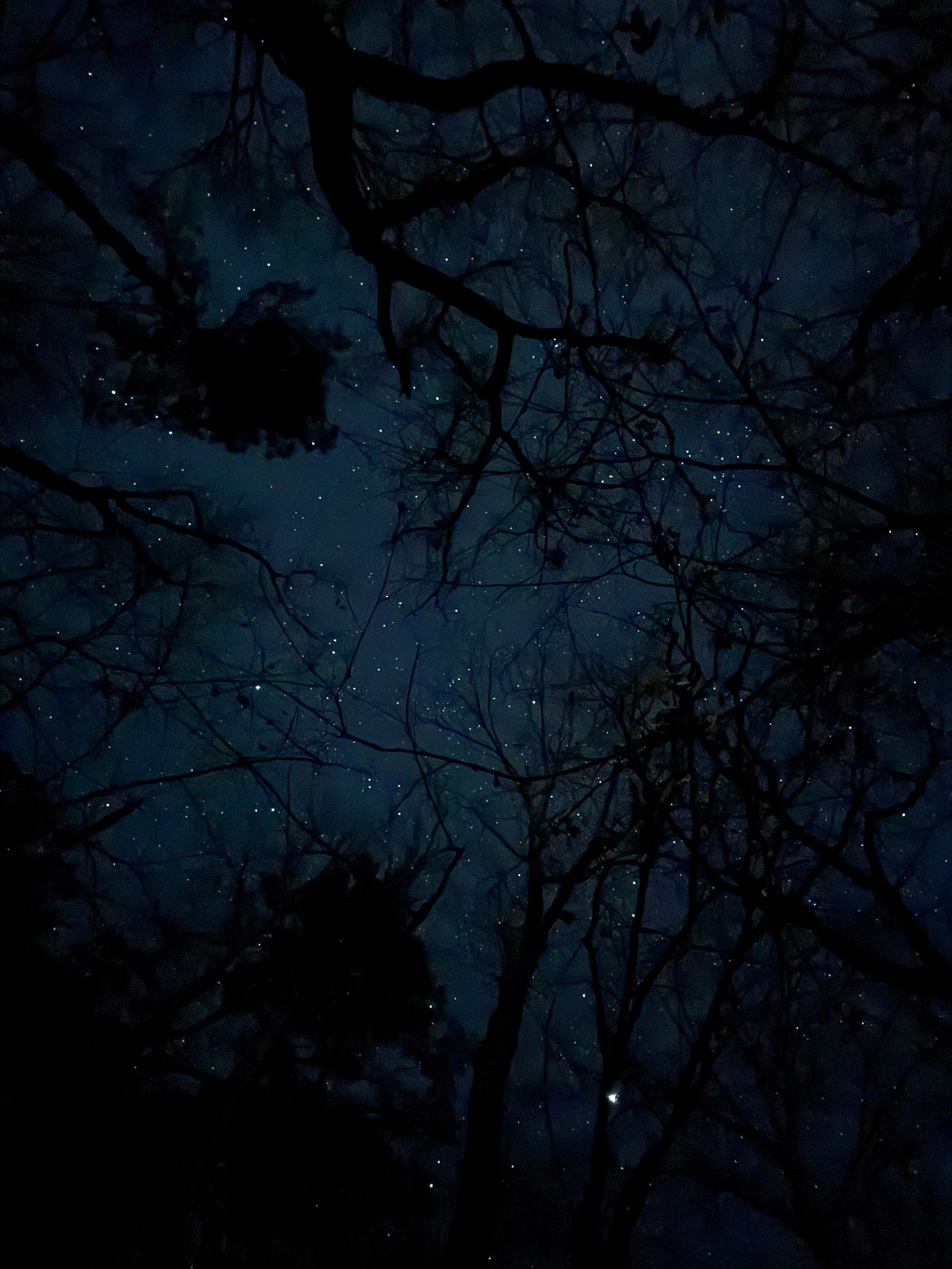 Adam G.'s photo of a dispersed camping area at Davy Crockett National Forest Hunter’s Camp near Rusk, TX