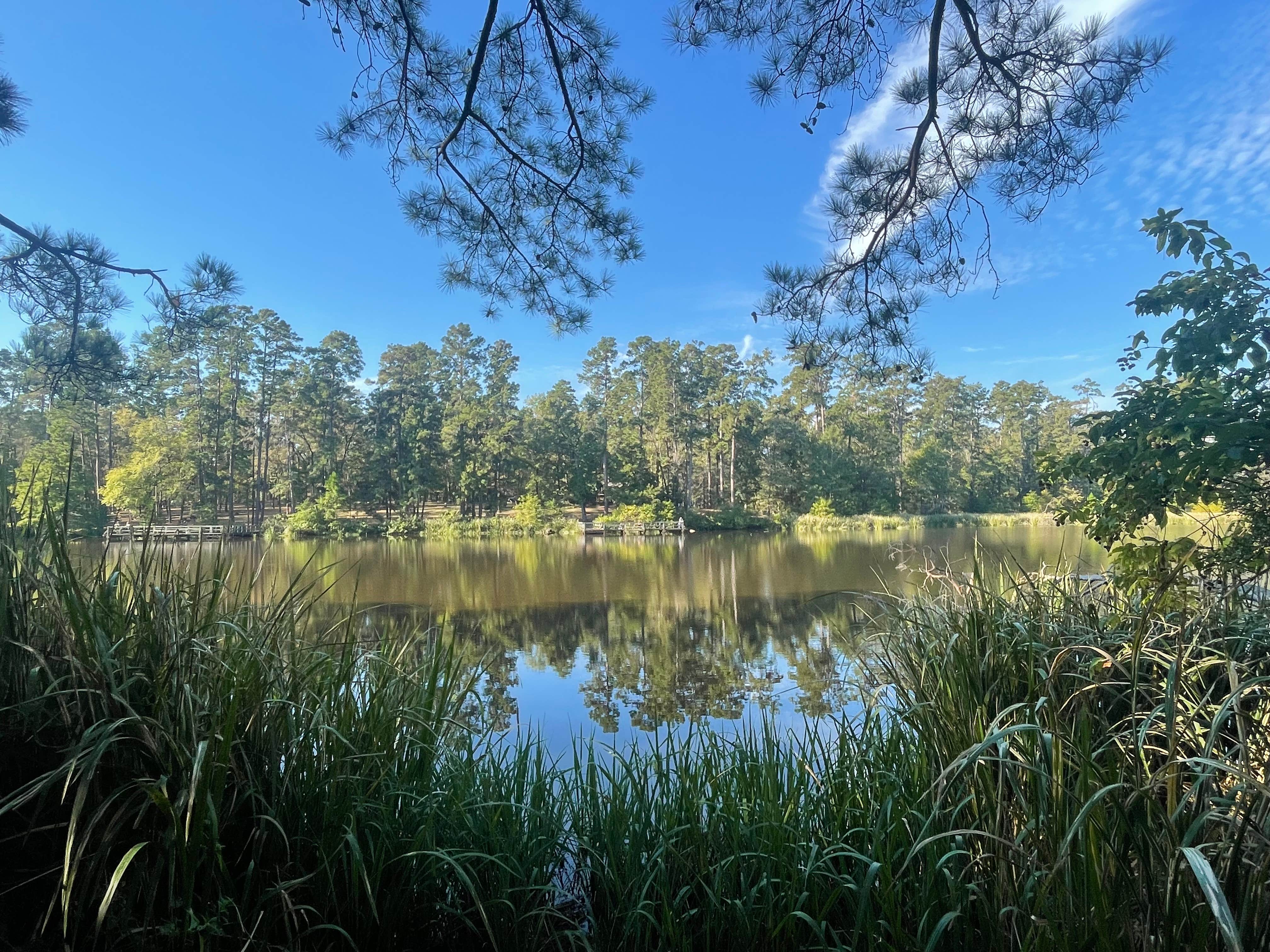 Camper submitted image from Davy Crockett National Forest Ratcliff Lake Recreation Area - 5