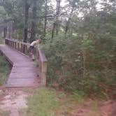 Review photo of Davy Crockett National Forest Ratcliff Lake Recreation Area by Yasmin S., November 1, 2024