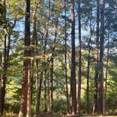 Review photo of Davy Crockett National Forest Ratcliff Lake Recreation Area by Donna T., October 16, 2025