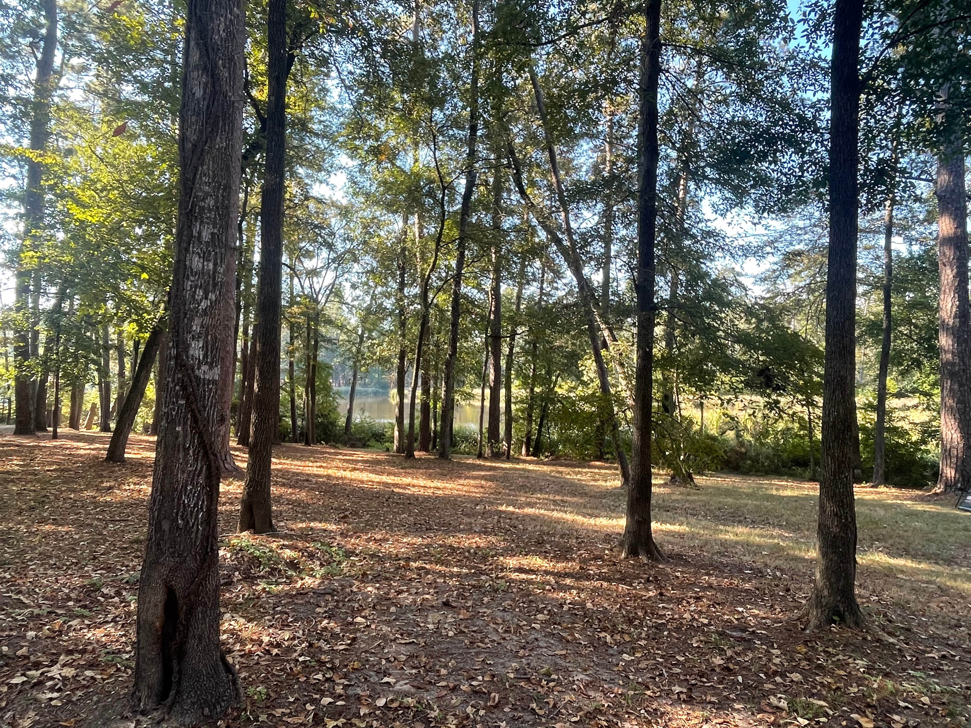 Camper-submitted photo at Davy Crockett National Forest Ratcliff Lake Recreation Area near Crockett, TX
