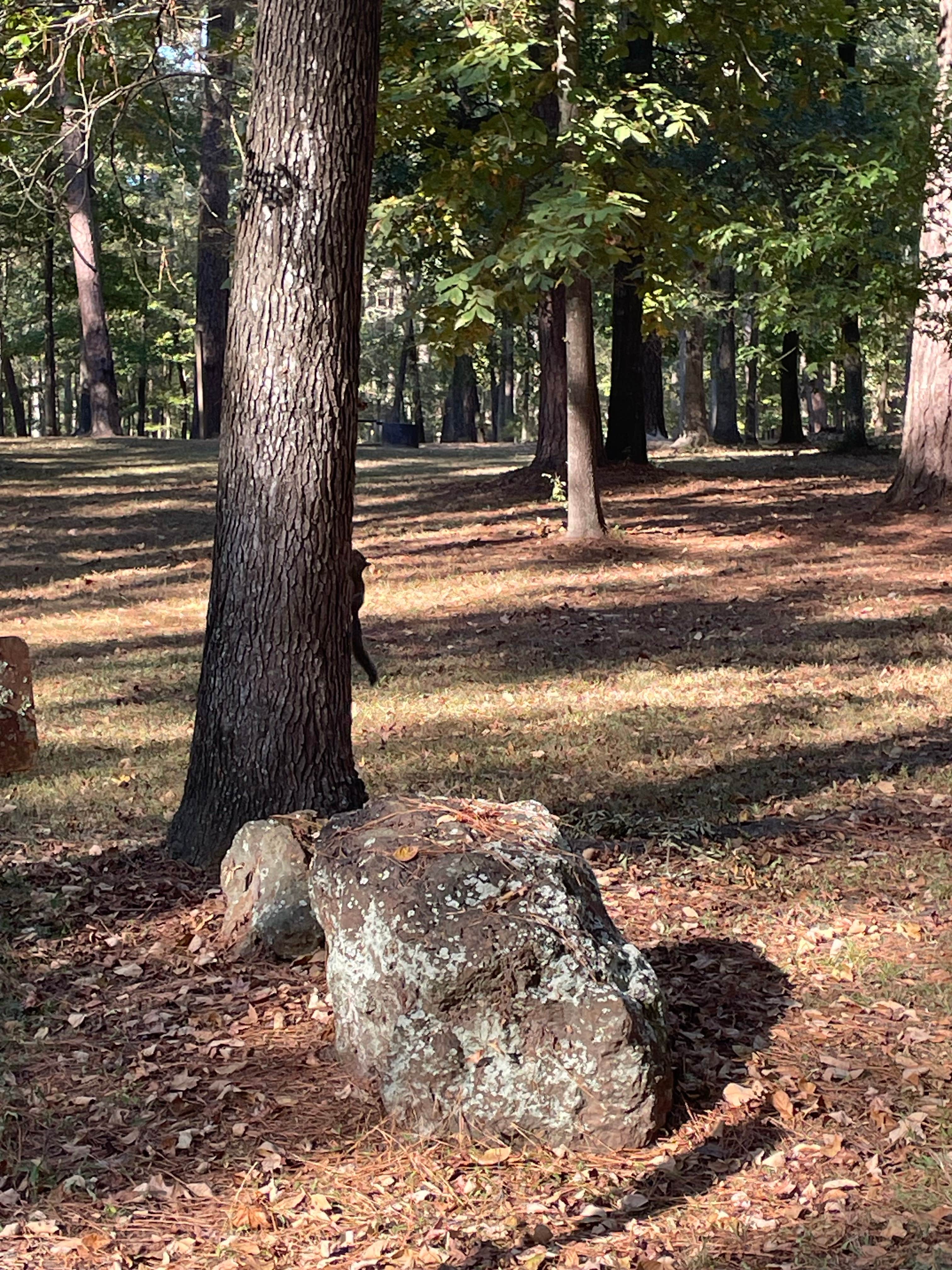 Camper-submitted photo at Davy Crockett National Forest Ratcliff Lake Recreation Area near Crockett, TX