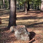 Review photo of Davy Crockett National Forest Ratcliff Lake Recreation Area by Donna T., October 16, 2025