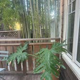 Review photo of Dawn Ranch: Hotel – Restaurant – Spa by Anna R., October 30, 2025