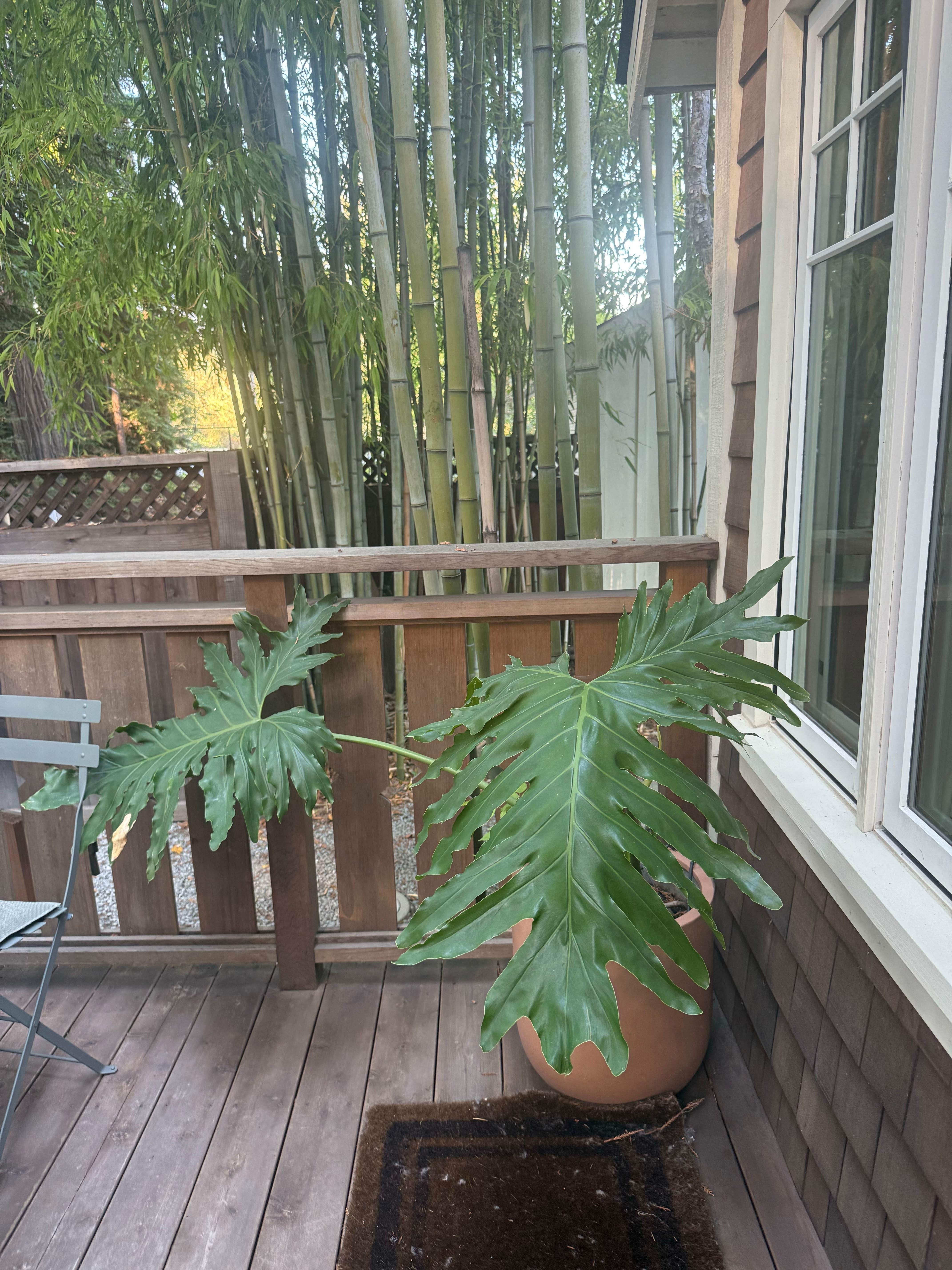 Camper submitted image from Dawn Ranch: Hotel – Restaurant – Spa - 5