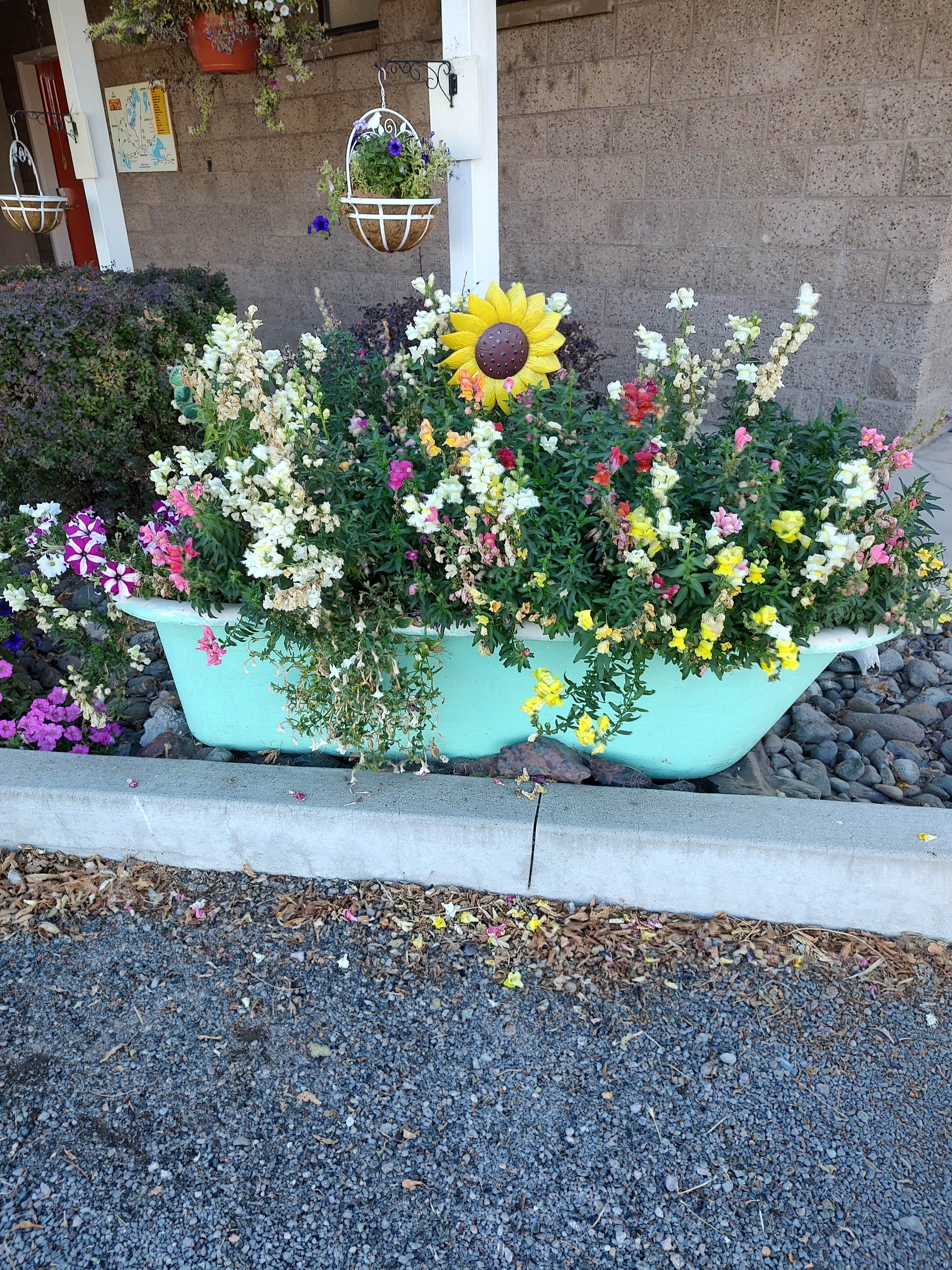 Camper-submitted photo at Days End RV Park near Milford, CA