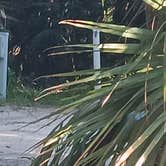 Review photo of South Daytona RV Park &Tropical Gardens by Stacy L., September 10, 2025
