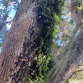 Review photo of South Daytona RV Park &Tropical Gardens by Stacy L., September 10, 2025