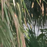 Review photo of South Daytona RV Park &Tropical Gardens by Stacy L., September 10, 2025