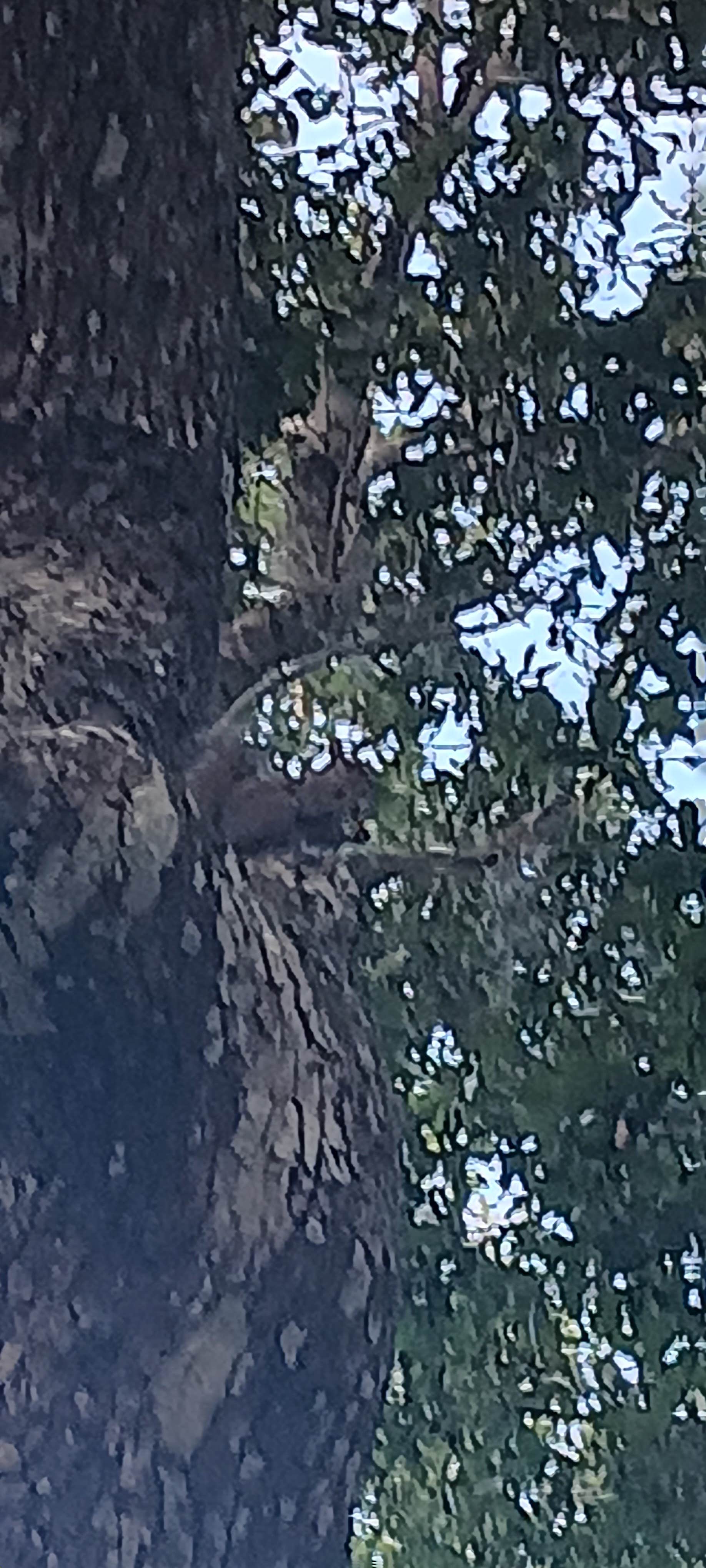 Camper-submitted photo at South Daytona RV Park &Tropical Gardens near Deltona, FL